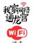 我家网络通龙宫