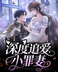 深度追爱小罪妻