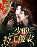 二少的特工傻妻