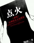 点火(叔宠)