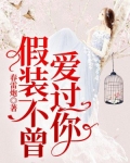 假装不曾爱过你