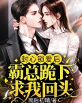 封心锁爱后,霸总跪下求我回头