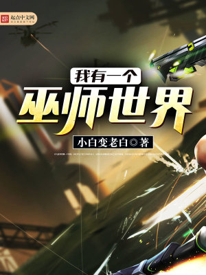我有一个巫师世界类似的小说