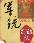 军统别动队