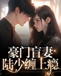 豪门盲妻,陆少缠上瘾