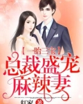 一胎三宝:总裁盛宠麻辣妻