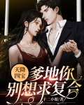 天降四宝:爹地你别想求复合