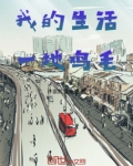我的生活，一地鸡毛