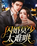 闪婚莫少太难哄