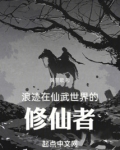 浪迹在仙武世界的修仙者