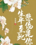 生平至此,悲伤是你