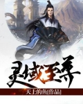 灵域至尊