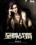 至尊战婿