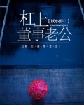 杠上董事老公