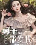 快穿：穿书后男主好像都爱我