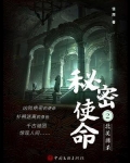 秘密使命 2:北美搏杀