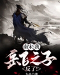 南宋：我，岳飞之子！反了！