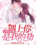 呆萌娇妻:遇上你是我的劫