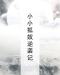 小小狐奴逆袭记