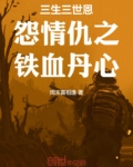 三生三世恩怨情仇之铁血丹心