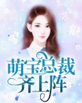 萌宝总裁齐上阵
