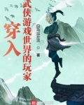 穿入武侠游戏世界的玩家
