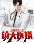 镇天医婿