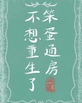 笨蛋通房不想重生了