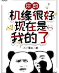 你的机缘很好,现在是我的了!