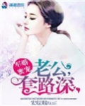军婚蜜宠,老公套路深