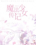 魔法少女传记