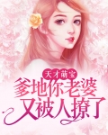 天才萌宝,爹地你老婆又被人撩了!