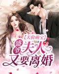 天价萌宝:盛爷,夫人又要离婚!
