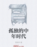 孤独的中年时代