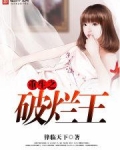 重生之破烂王