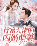 首富大佬的闪婚萌妻