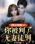 傅总别跪了,你被判了无妻徒刑