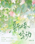 新婚悸动