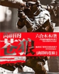 离群的苍狼
