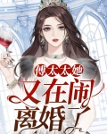 傅太太她又在闹离婚了