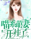 喵系萌妻开挂了