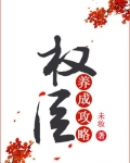 权臣养成攻略