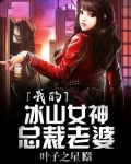 我的冰山女神总裁老婆