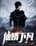 仙婿下凡