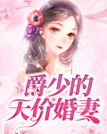 爵少的天价婚妻