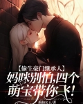 偷生豪门继承人:妈咪别怕,四个萌宝带你飞!