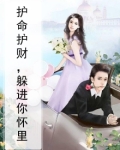 护命护财，躲进你怀里