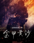 金甲黄沙