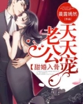 甜婚入骨,老公天天宠