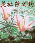 美杜莎之约